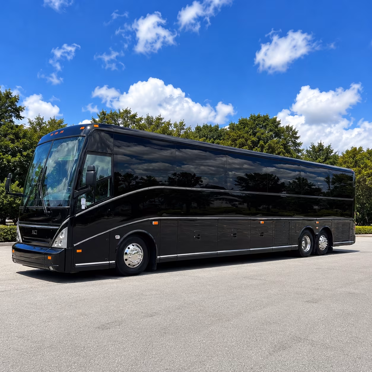 lansingcoachbuscompany com makes it possible to get every student to potter park zoo together